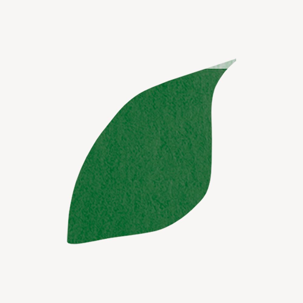 Watercolor green leaf, eco-friendly clipart psd