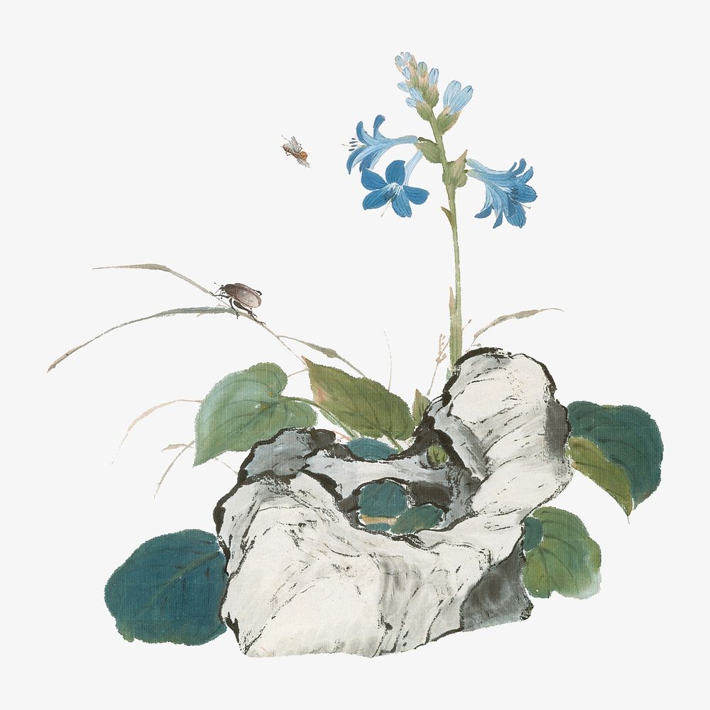 Vintage Chinese flower, botanical illustration by Ju Lian.  Remixed by rawpixel.