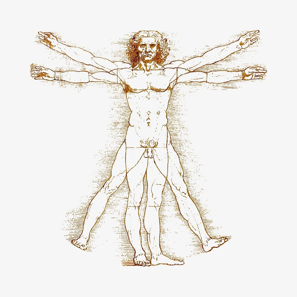 Leonardo da Vinci's Vitruvian Man, vintage illustration. Remastered by rawpixel.