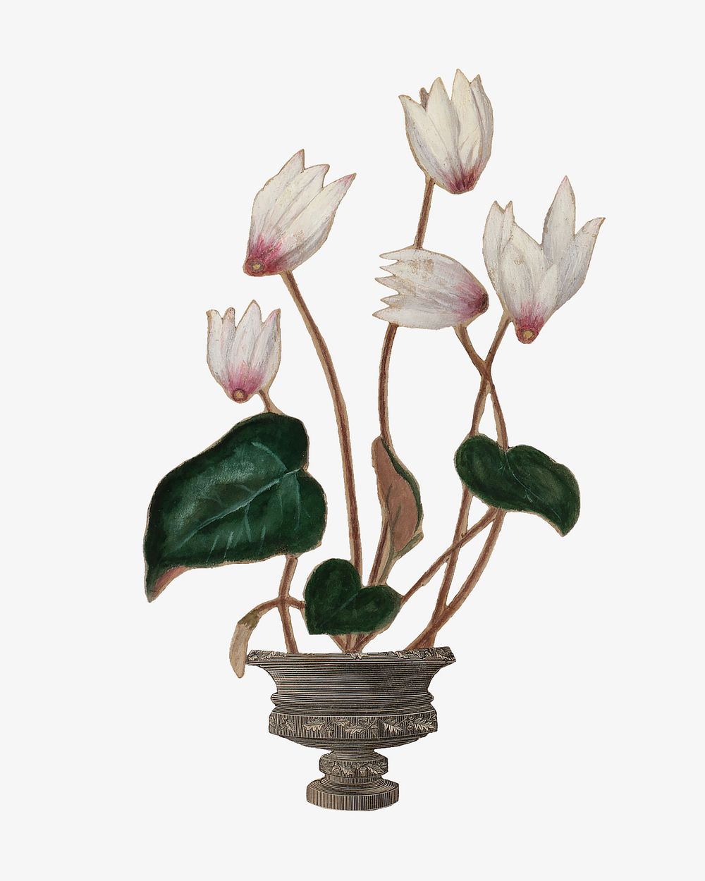 White lotus flower illustration. Remastered by rawpixel.