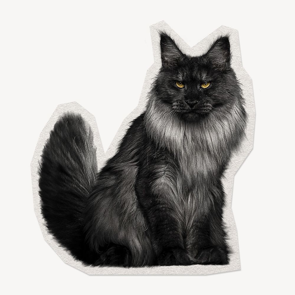Angora cat, pet paper cut isolated design