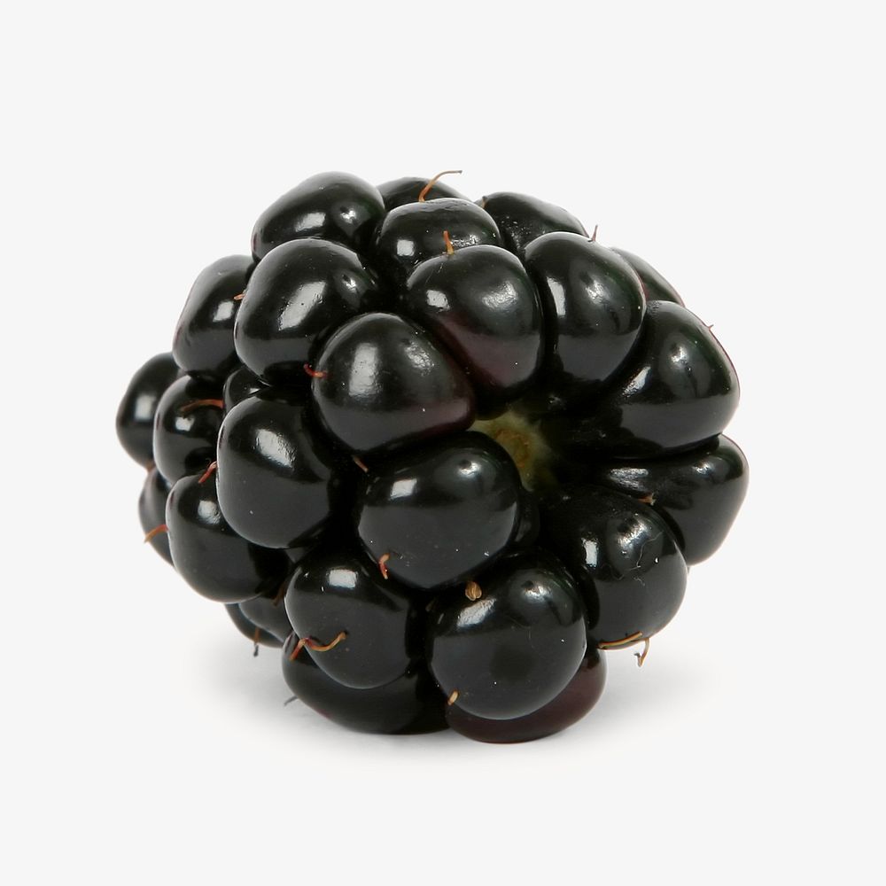 Blackberry fruit isolated image