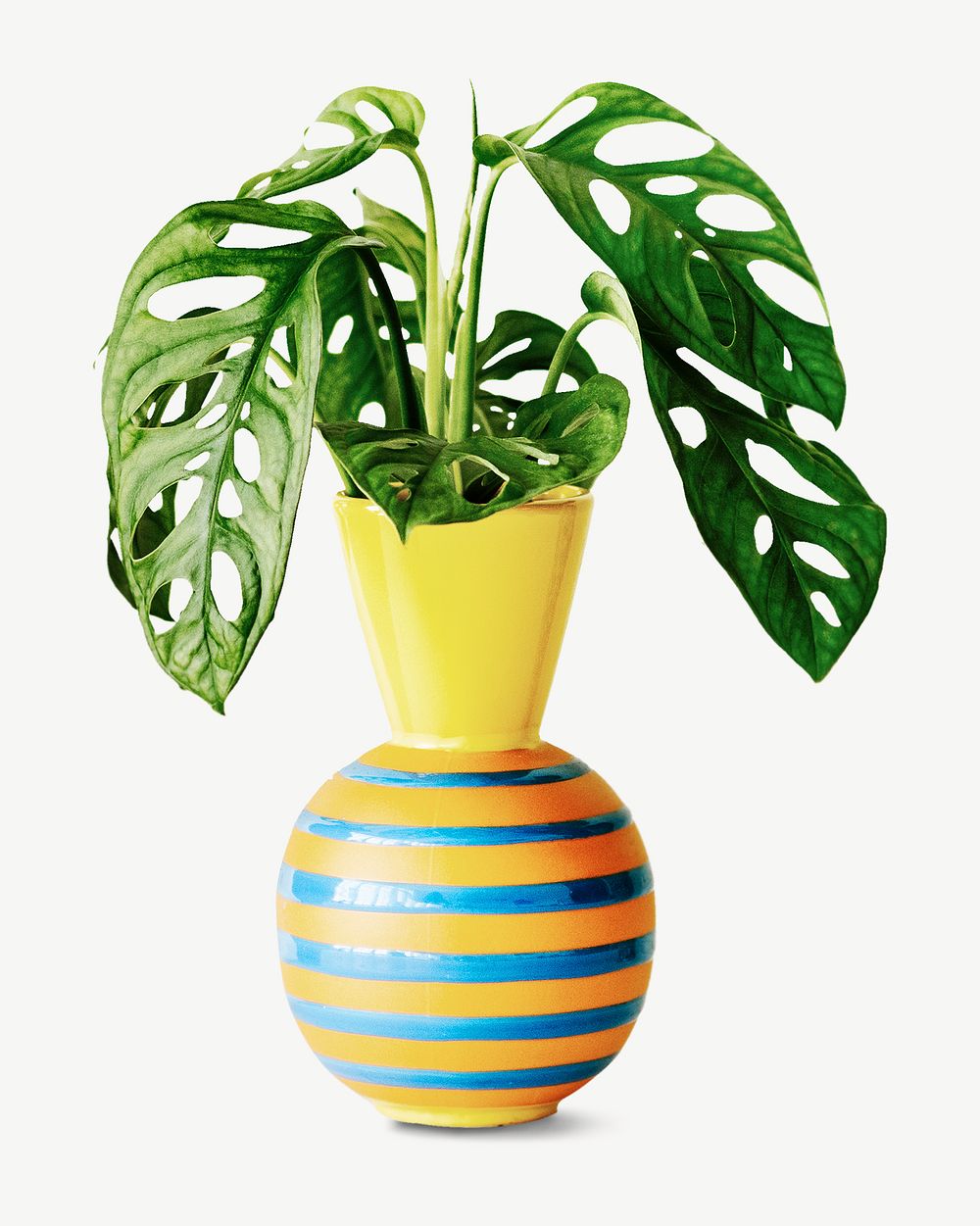 Houseplant  collage element psd