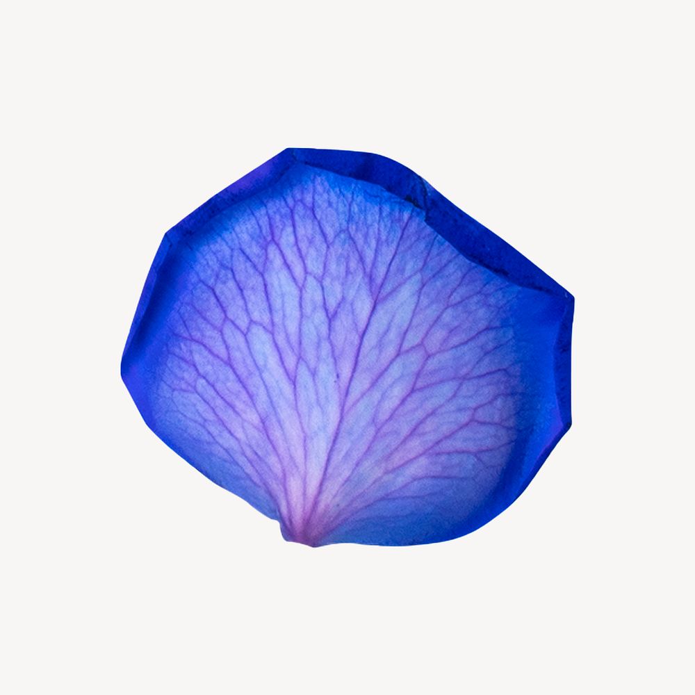 Blue flower petal collage element psd