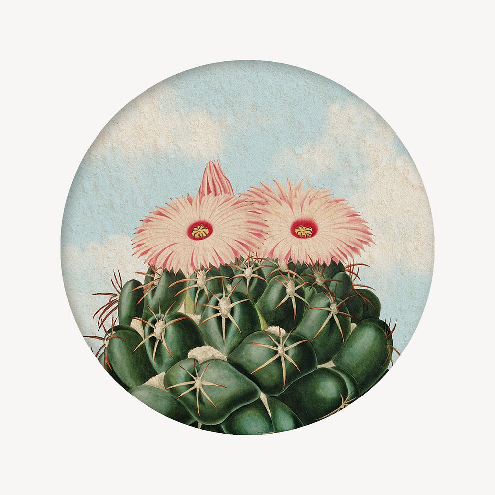 Cactus round badge illustration, collage element psd