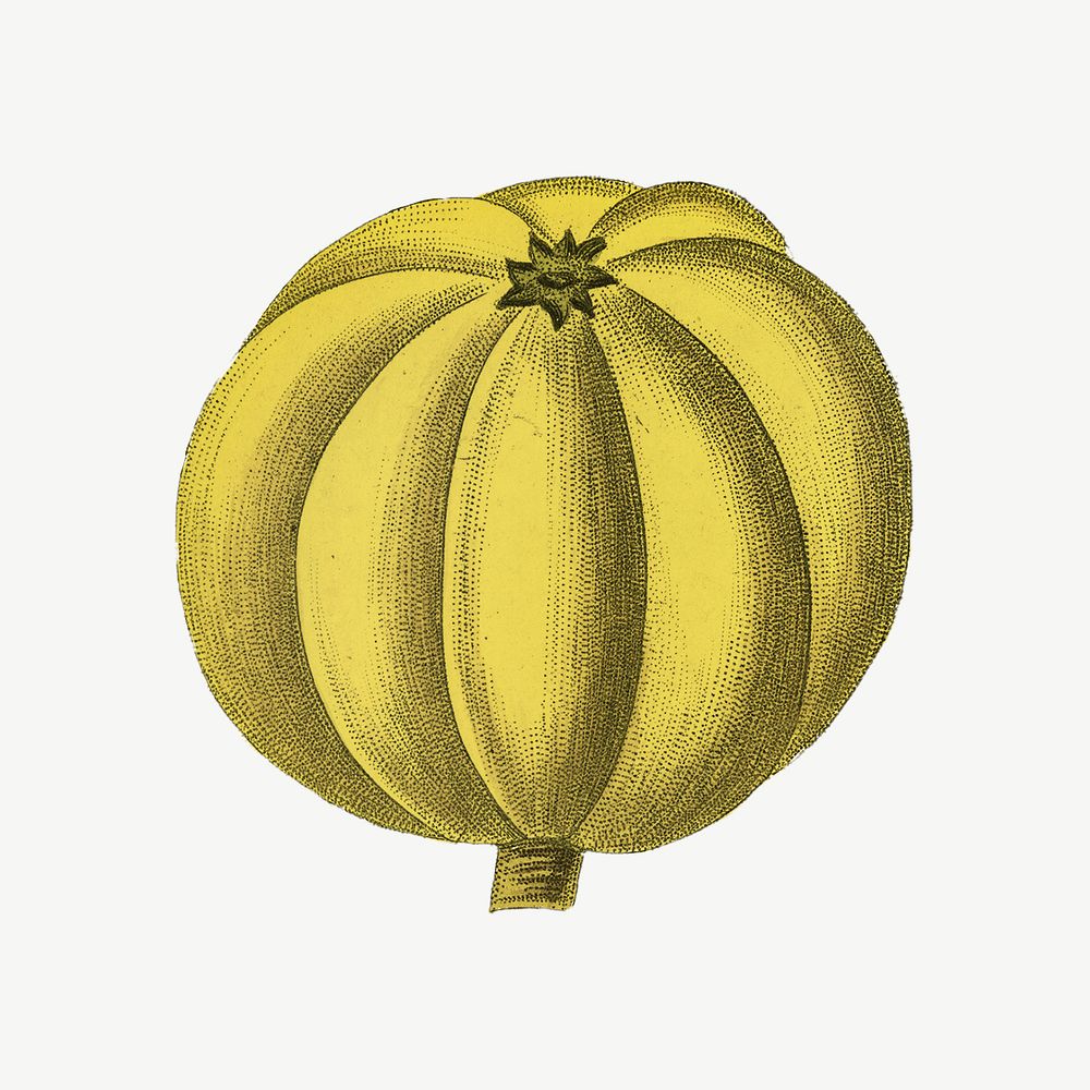 Yellow fruit vintage illustration, collage element psd