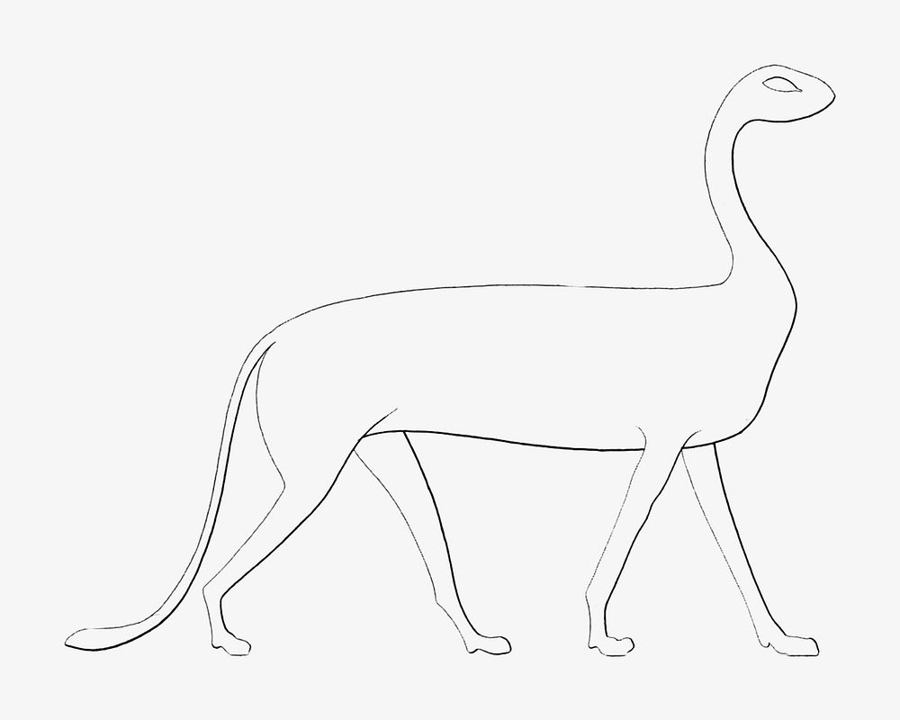 Egypt animal vintage illustration image