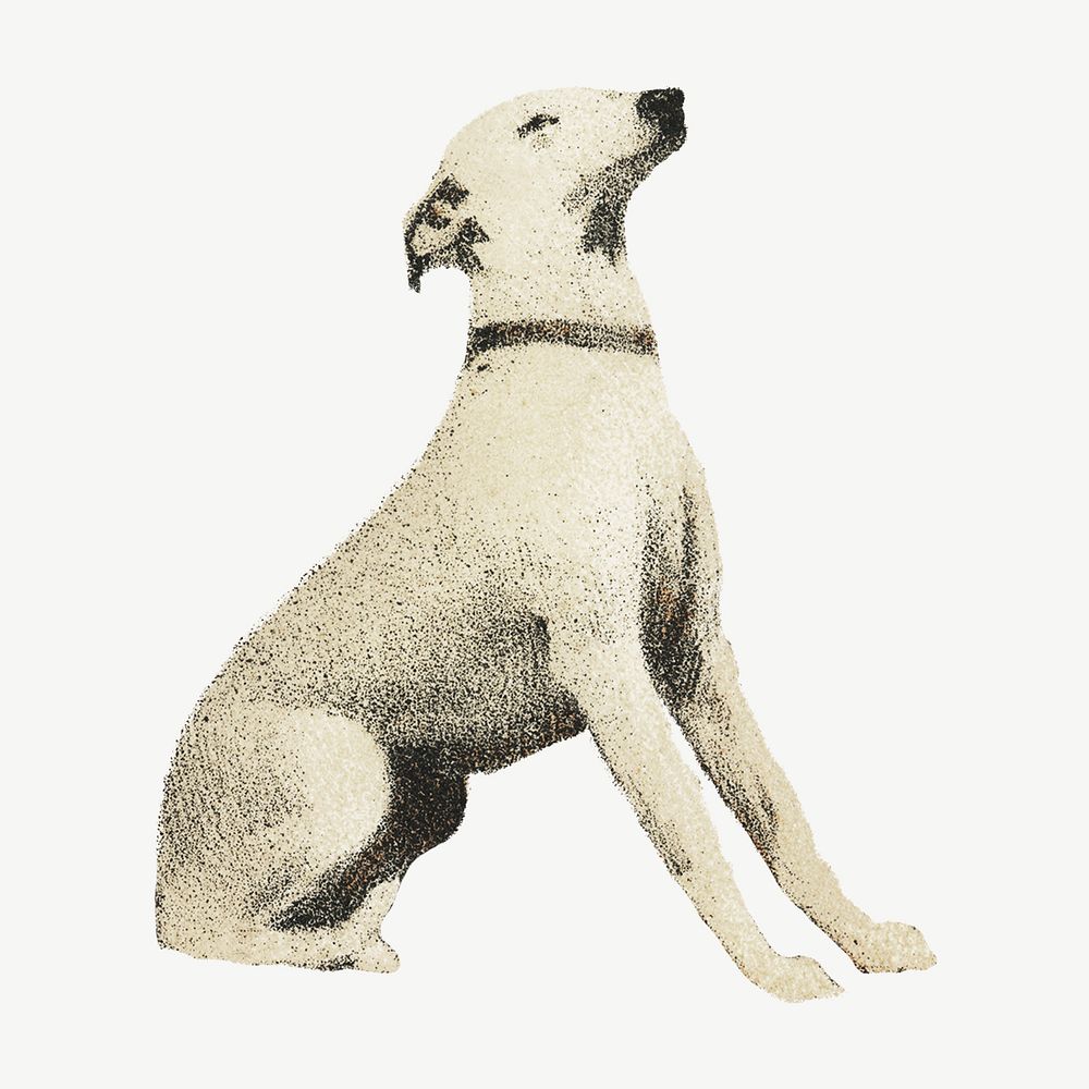 Vintage painting, white dog, Orloffer psd, isolated design