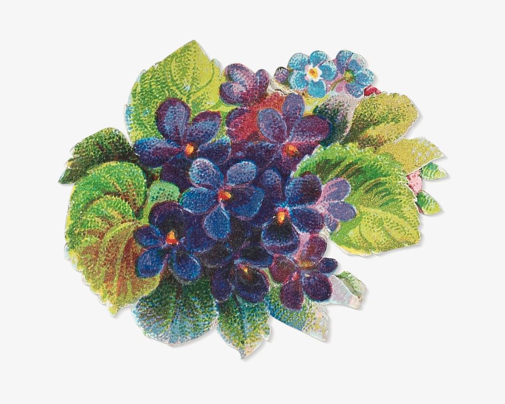 Dark purple flower, vintage botanical illustration. Remixed by rawpixel.
