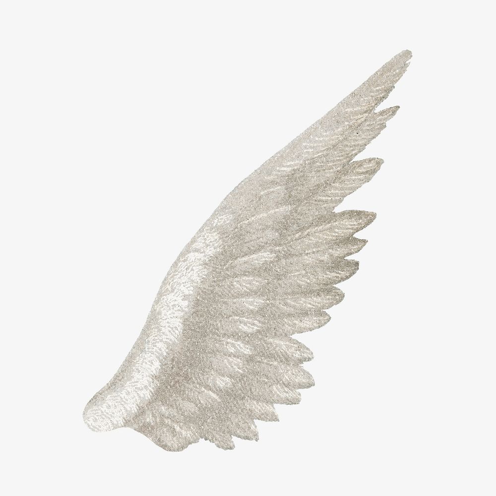 Vintage white bird wing illustration. Remixed by rawpixel.