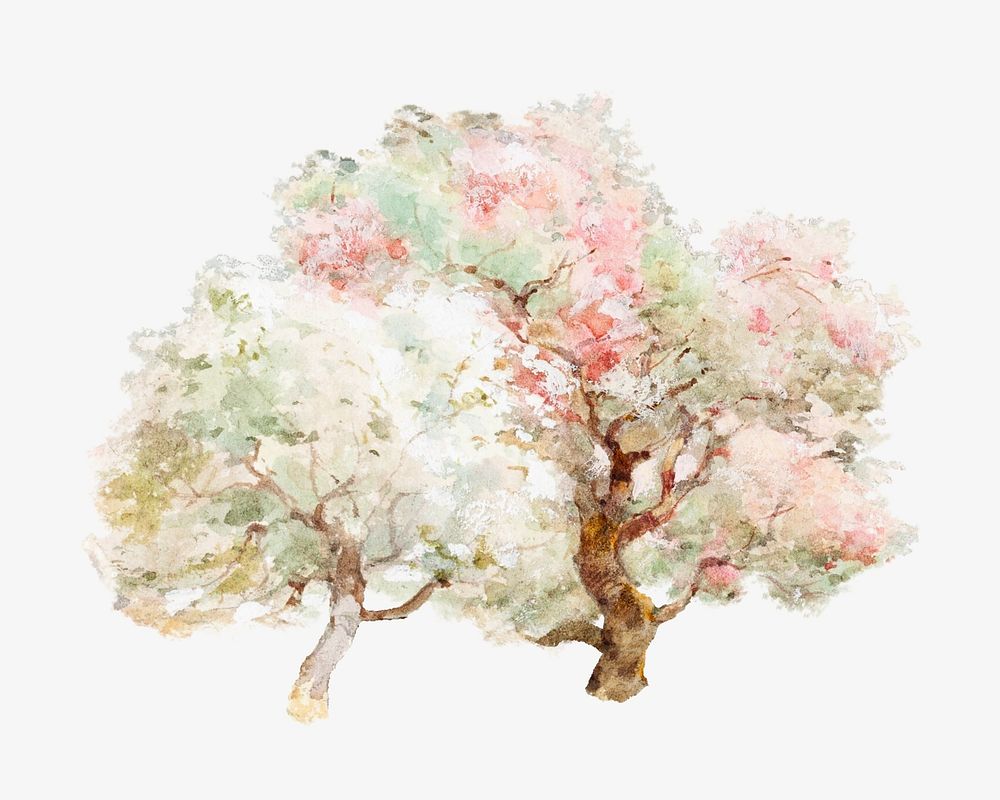 Blooming spring trees watercolor illustration element. Remixed from Joseph Rubens Powell artwork, by rawpixel.
