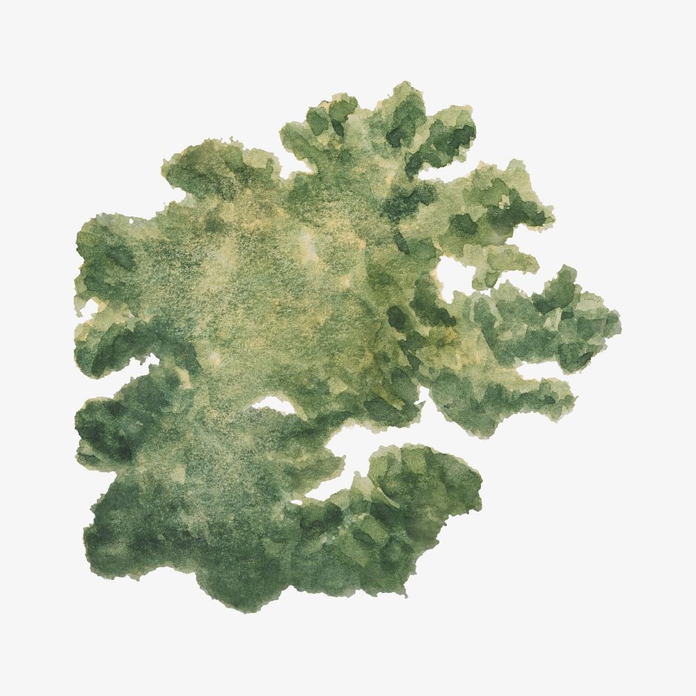 Green foliage watercolor illustration element. Remixed from vintage artwork by rawpixel.