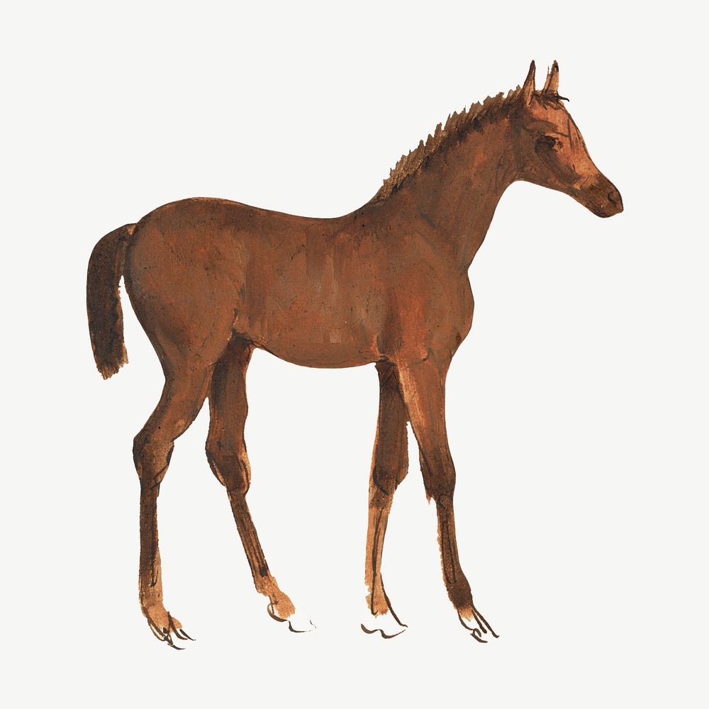 Horse foal watercolor illustration element psd. Remixed from Sawrey Gilpin artwork, by rawpixel.