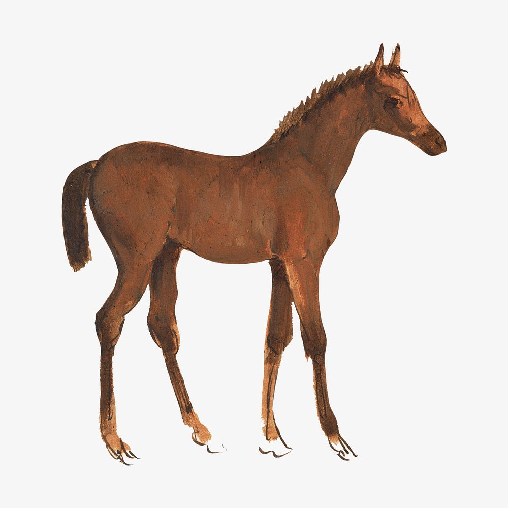 Horse foal watercolor illustration element. Remixed from Sawrey Gilpin artwork, by rawpixel.