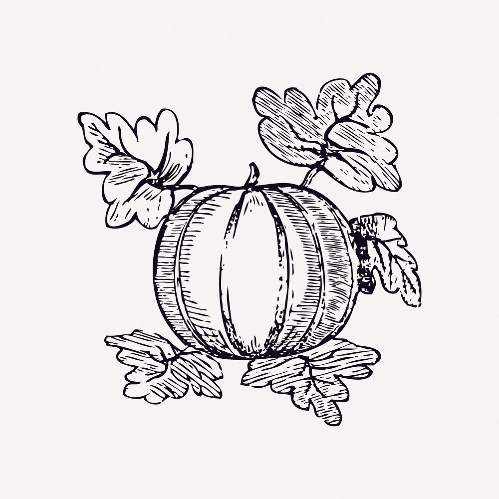 Pumpkin collage element vector. Free public domain CC0 image.