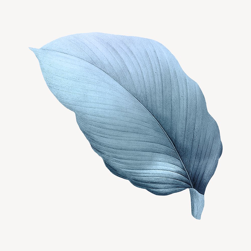 Vintage blue leaf illustration psd