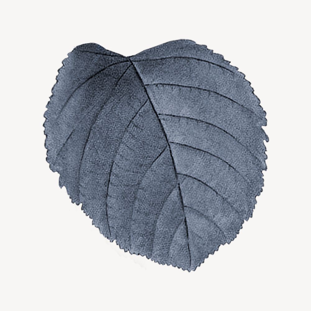 Vintage blue leaf illustration psd