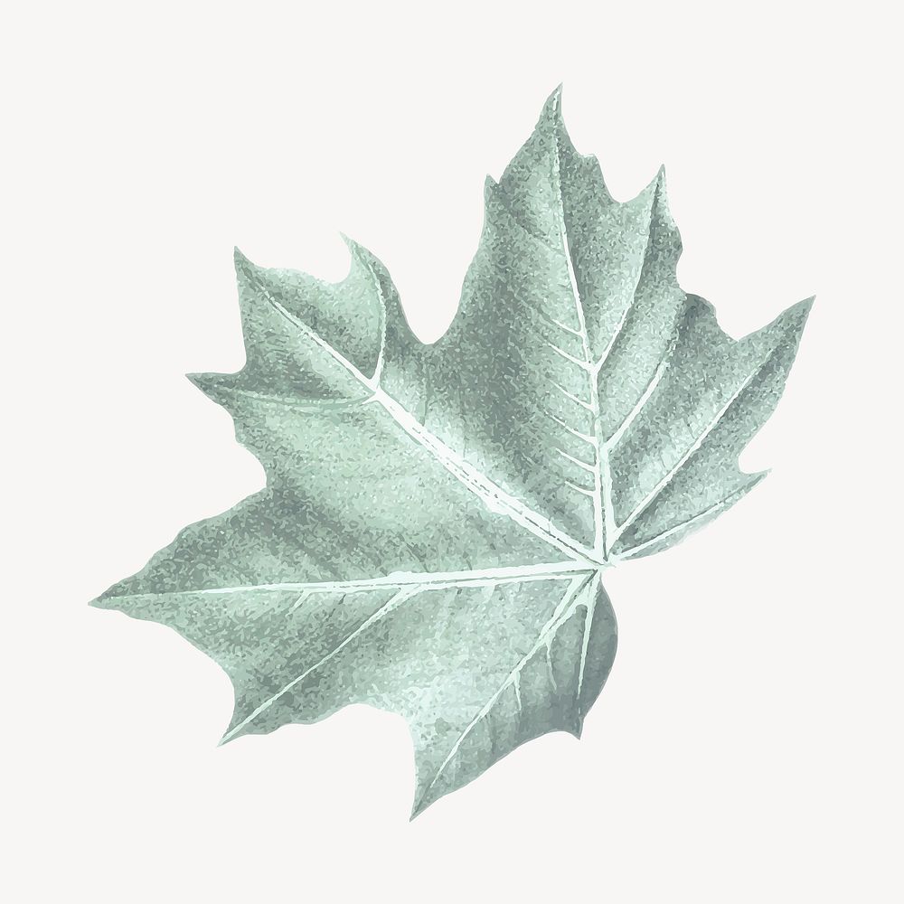 Vintage green leaf illustration psd