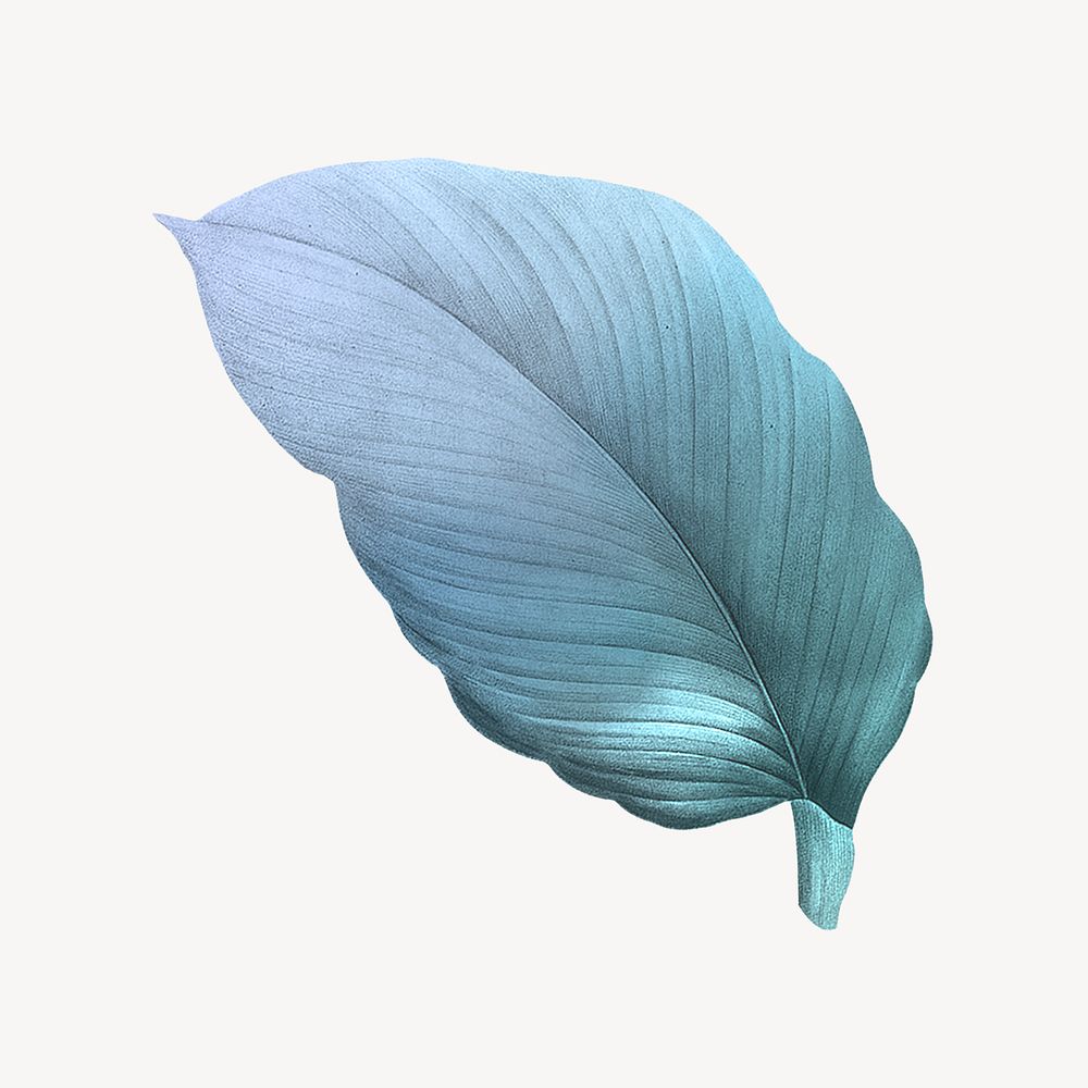 Vintage blue leaf illustration psd