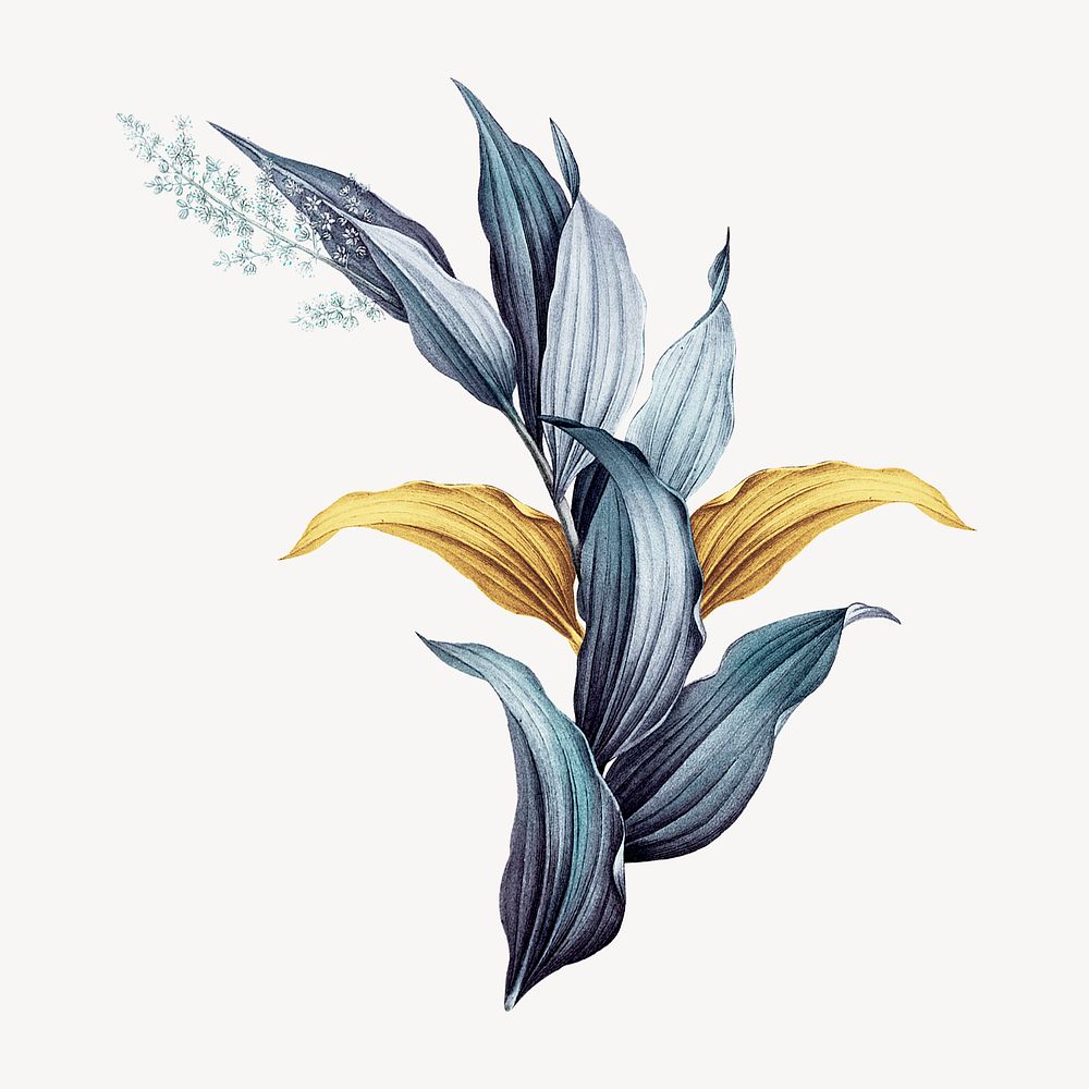 Vintage plant, Indian lily flower illustration psd