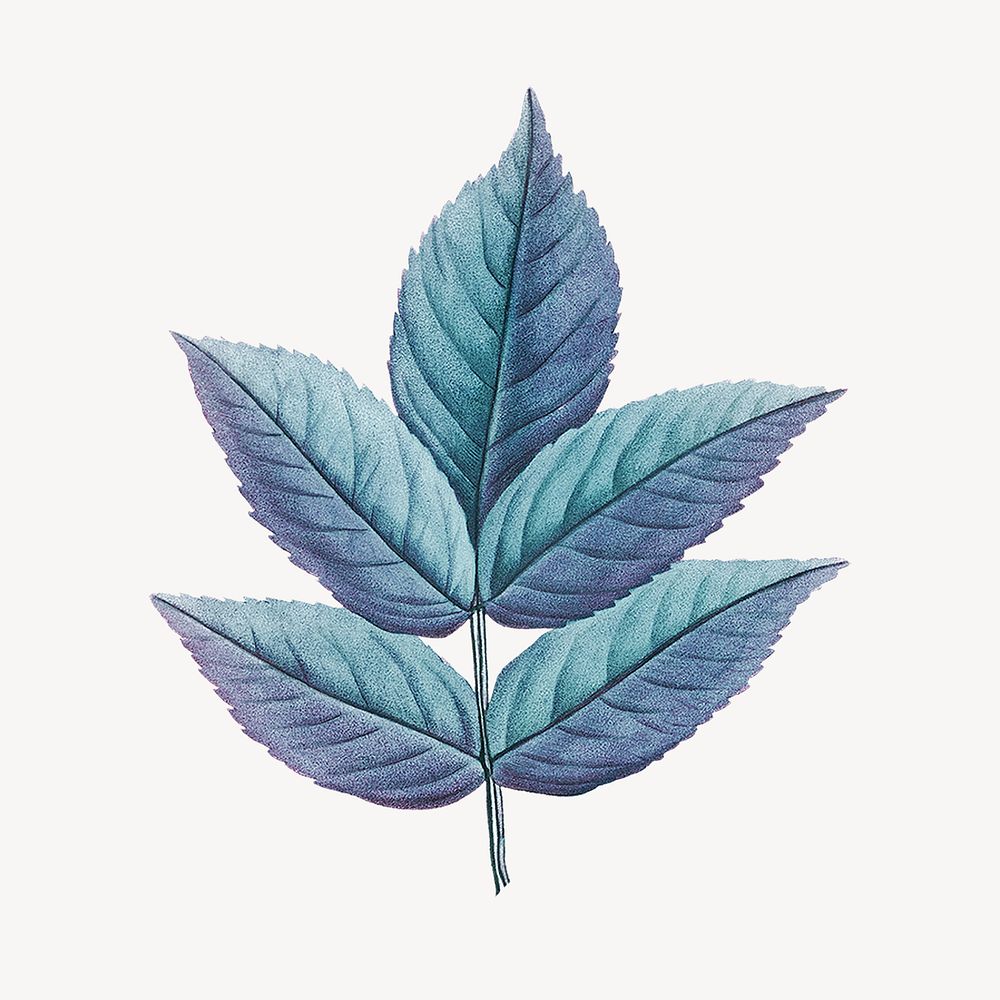 Vintage gradient blue leaf illustration psd