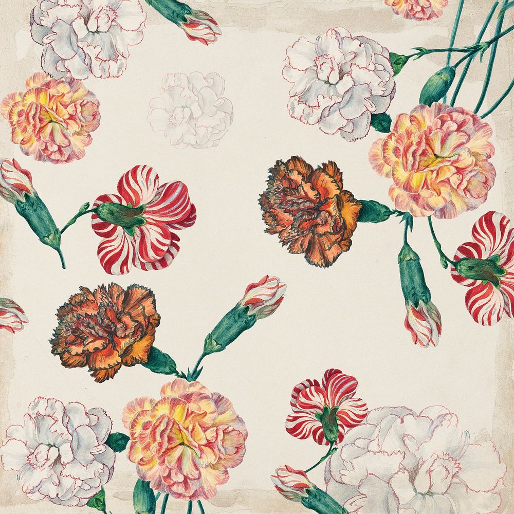 Vintage colorful carnations background. Remixed by rawpixel. 