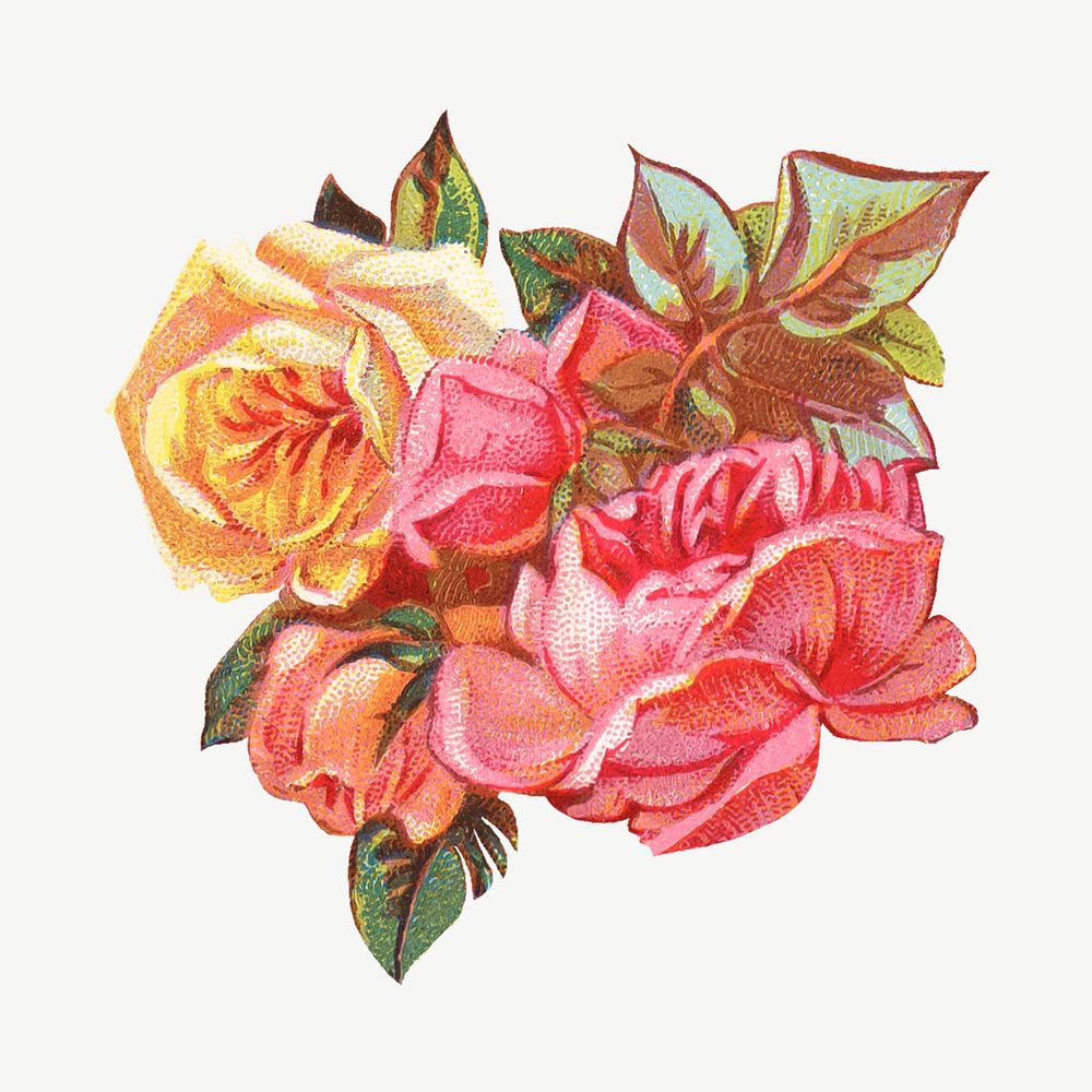 Vintage roses psd. Remixed by rawpixel. 