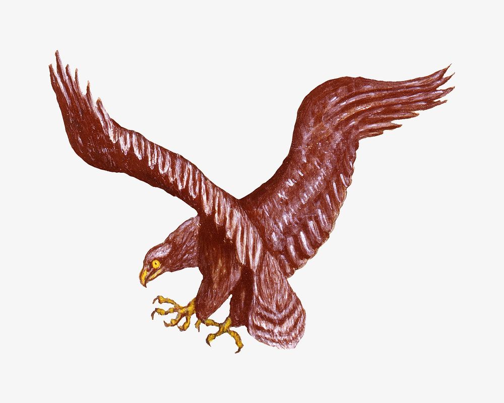 Vintage eagle bird illustration. Remixed by rawpixel. 