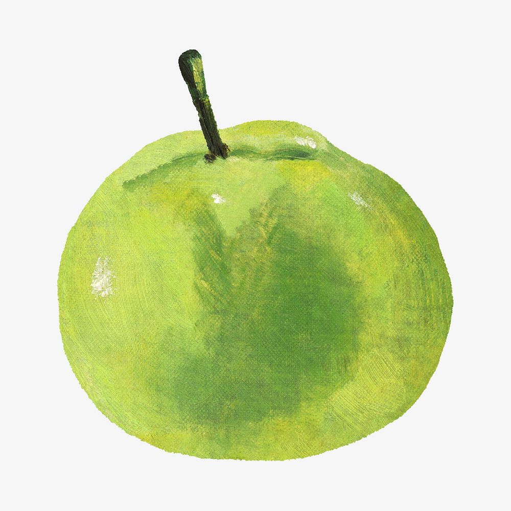 Vintage green apple illustration. Remixed by rawpixel. 