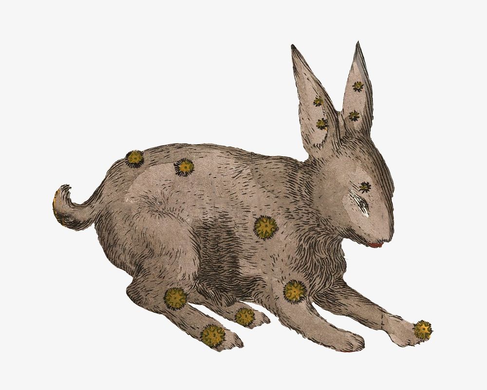 Lepus rabbit constellation, astrology animal illustration by Ignace Gaston Pardies. Remixed by rawpixel.