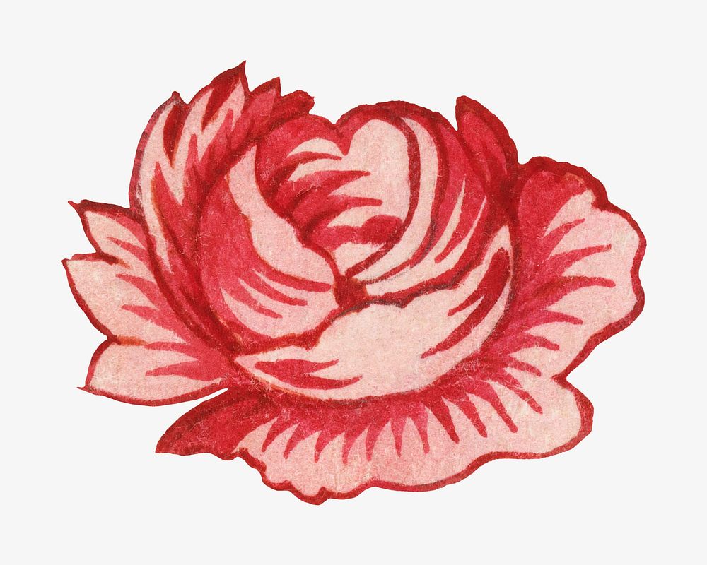 Red rose flower isolated design. Remixed by rawpixel.