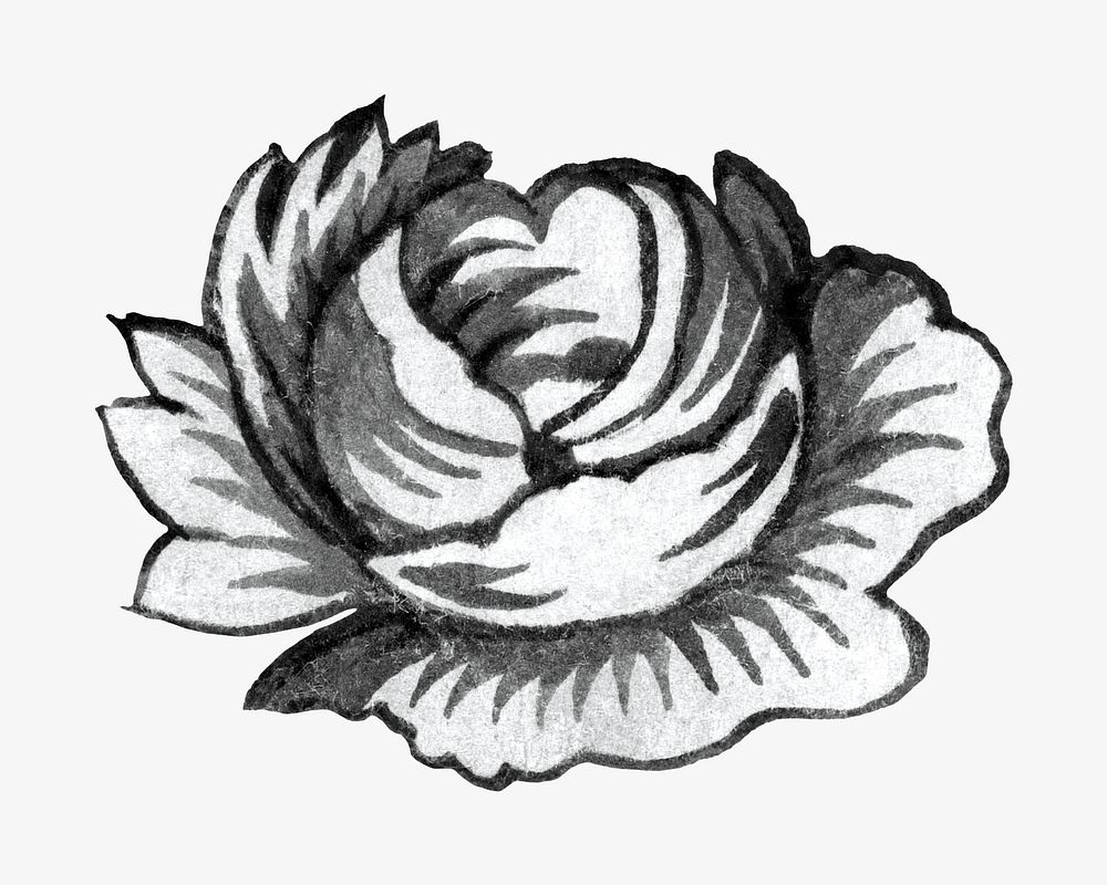 Rose flower black and white isolated design. Remixed by rawpixel.