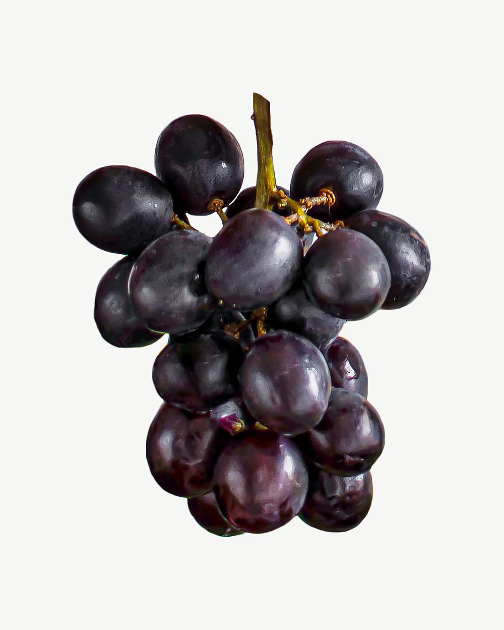 Red grape design element psd