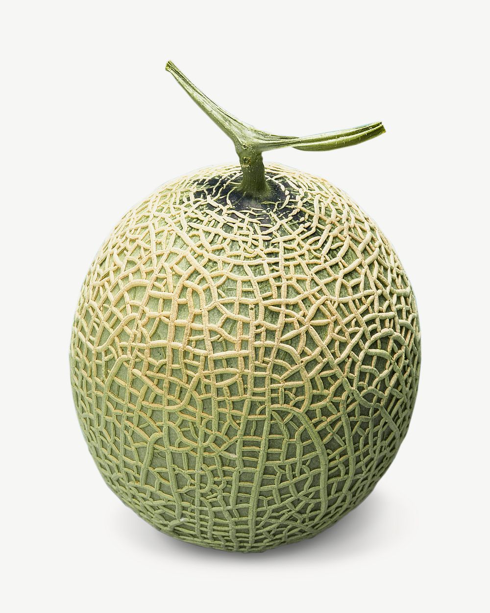 Melon image graphic psd
