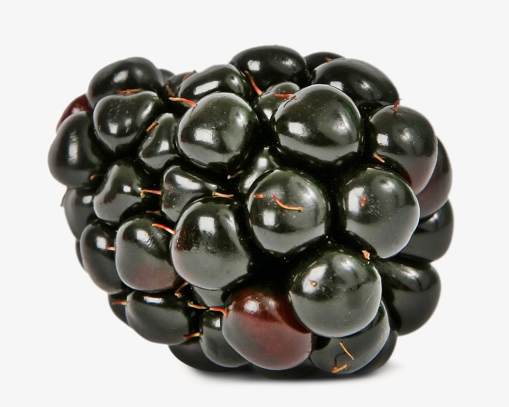 Organic blackberry fruit isolated object
