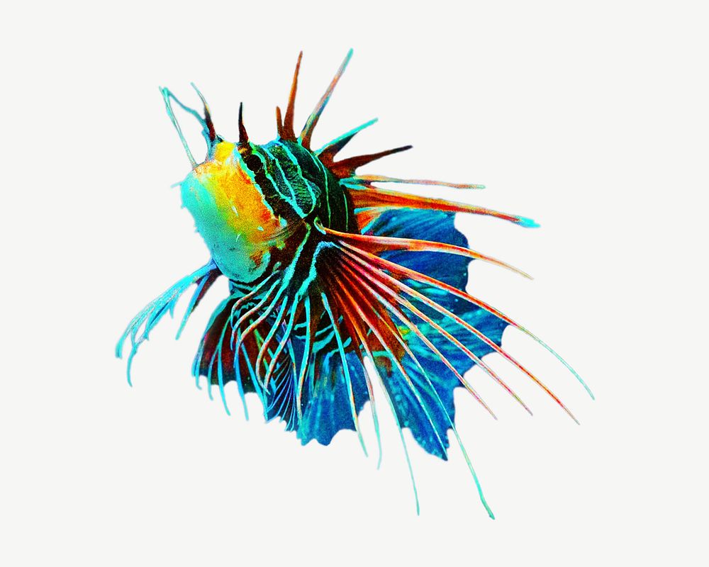 Colorful lionfish psd isolated design