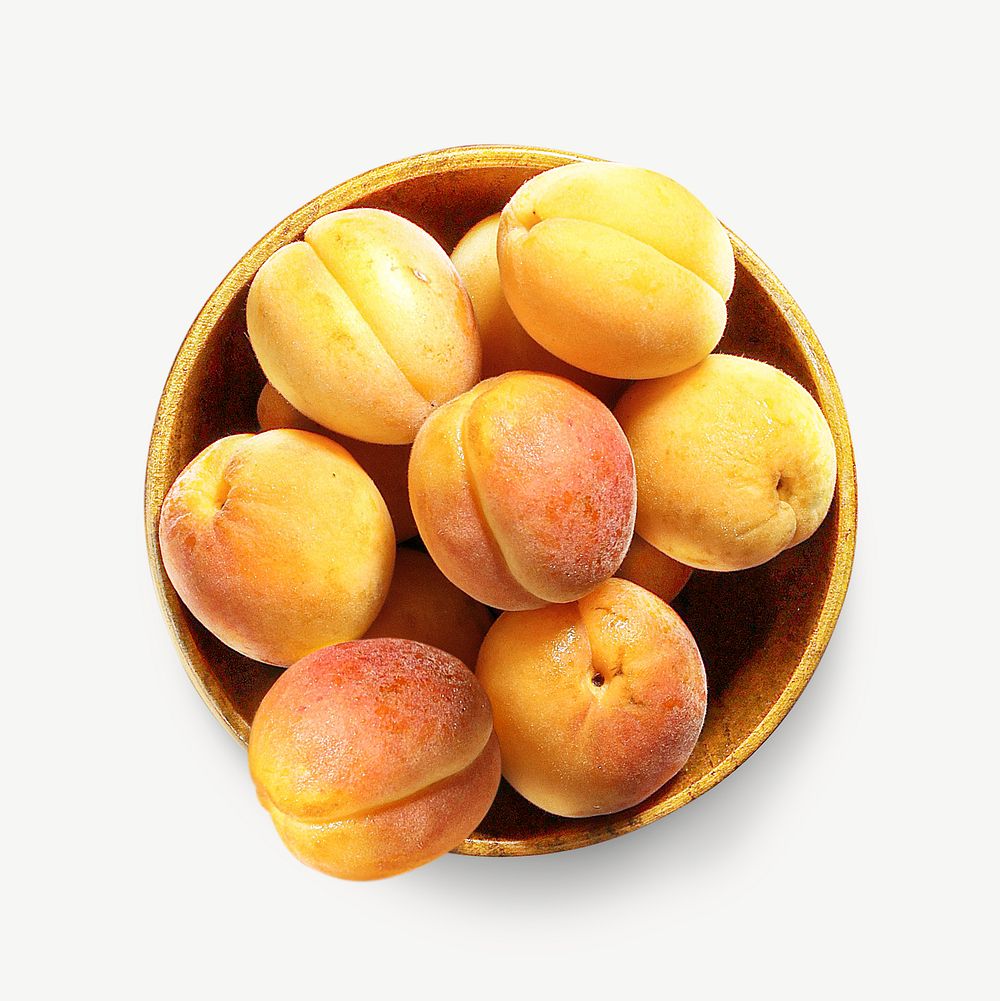 Apricot image graphic psd