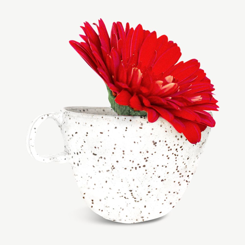 Red gerbera cup collage element graphic psd