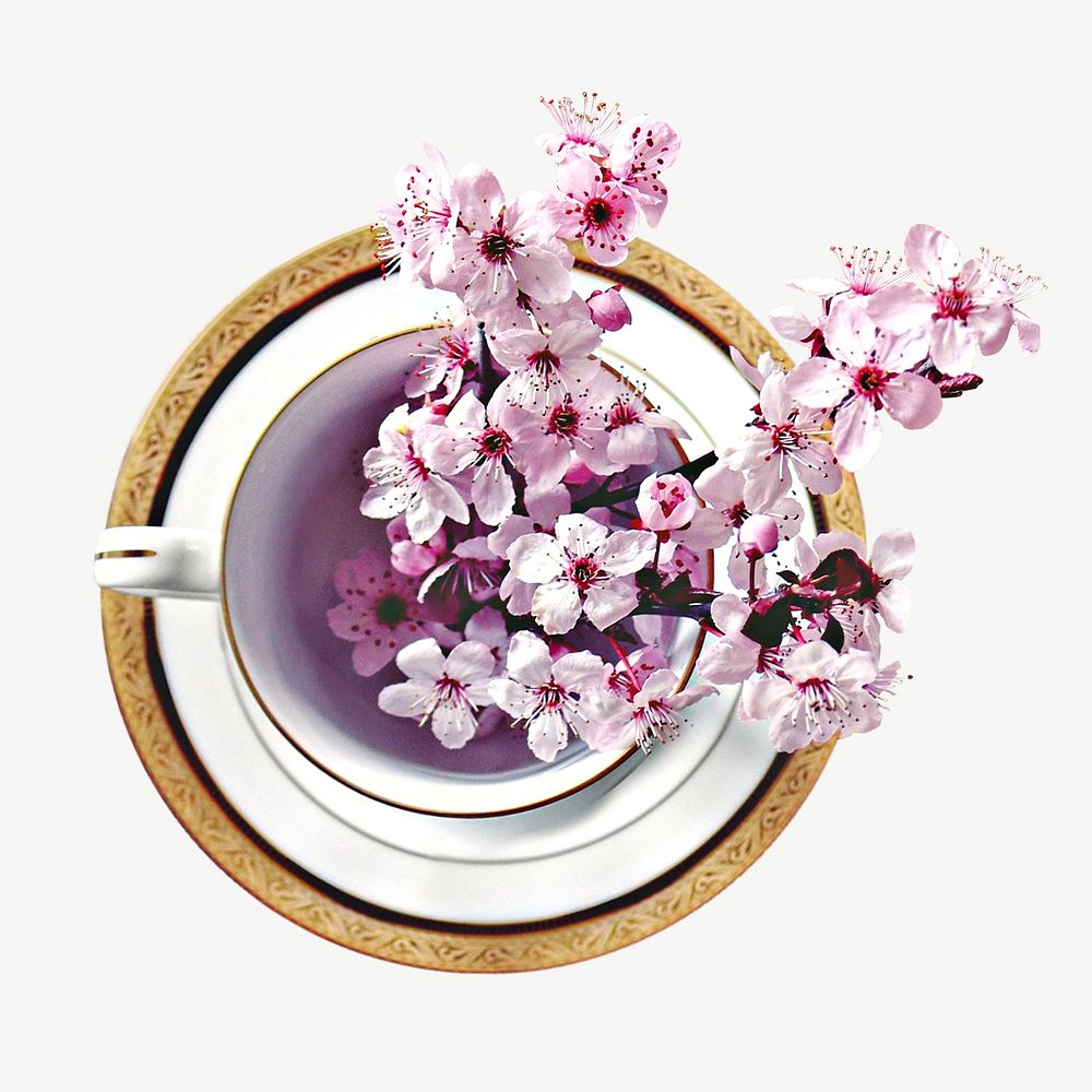 Pink sakura tea cup psd