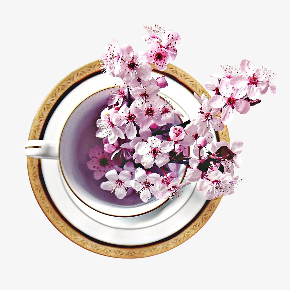 Pink sakura tea cup