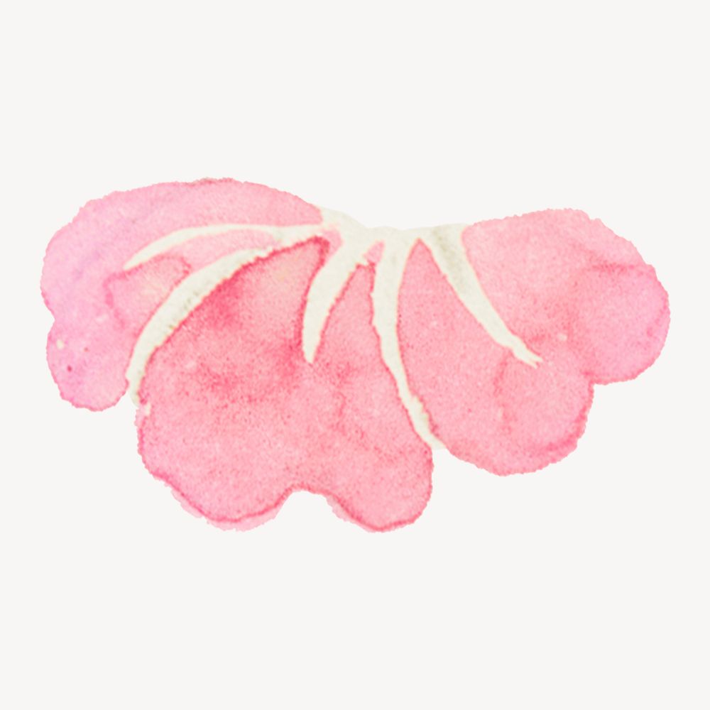 Pink flower petal watercolor psd