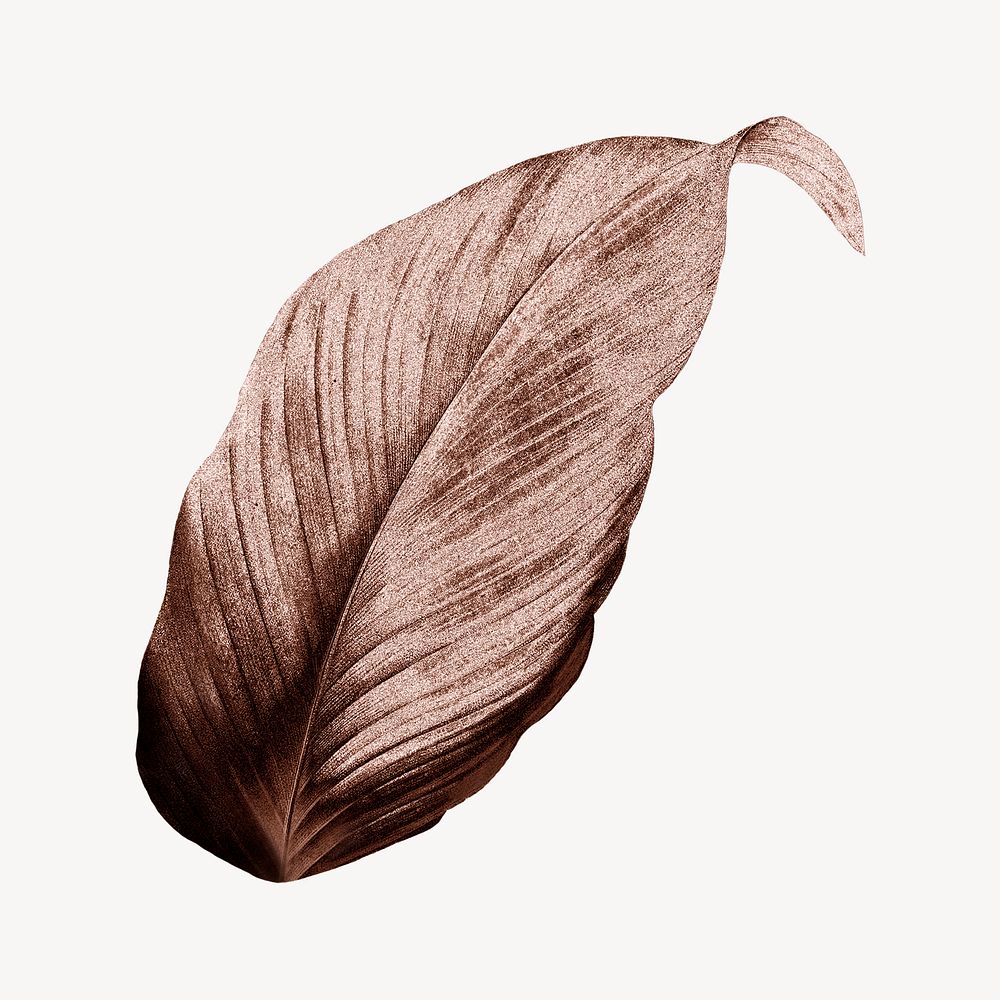 Vintage Autumn brown leaf illustration psd