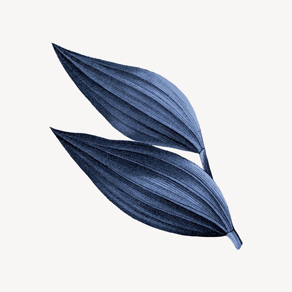 Vintage blue leaf illustration psd