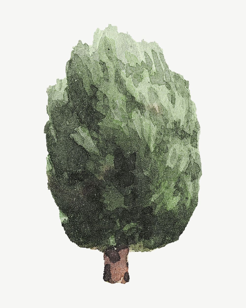 Watercolored tree illustration collage element psd. Remixed by rawpixel.