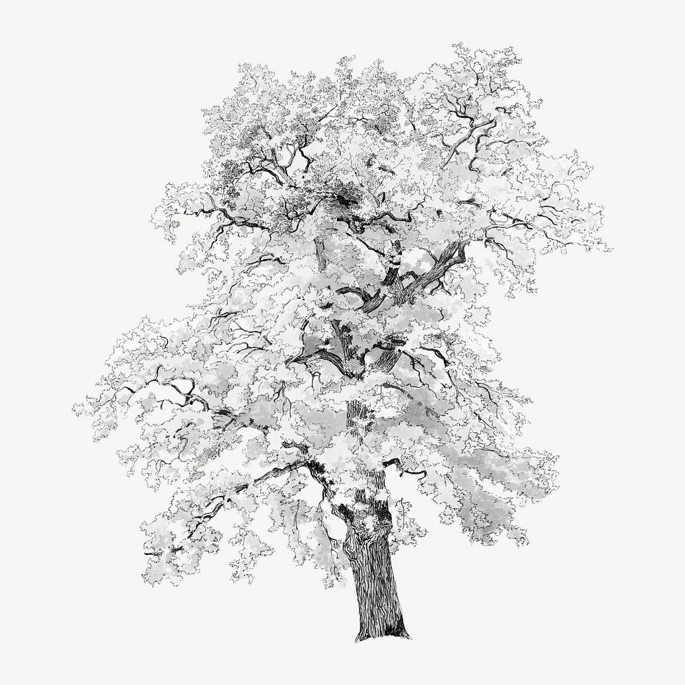 Vintage oak tree illustration collage | Premium PSD - rawpixel