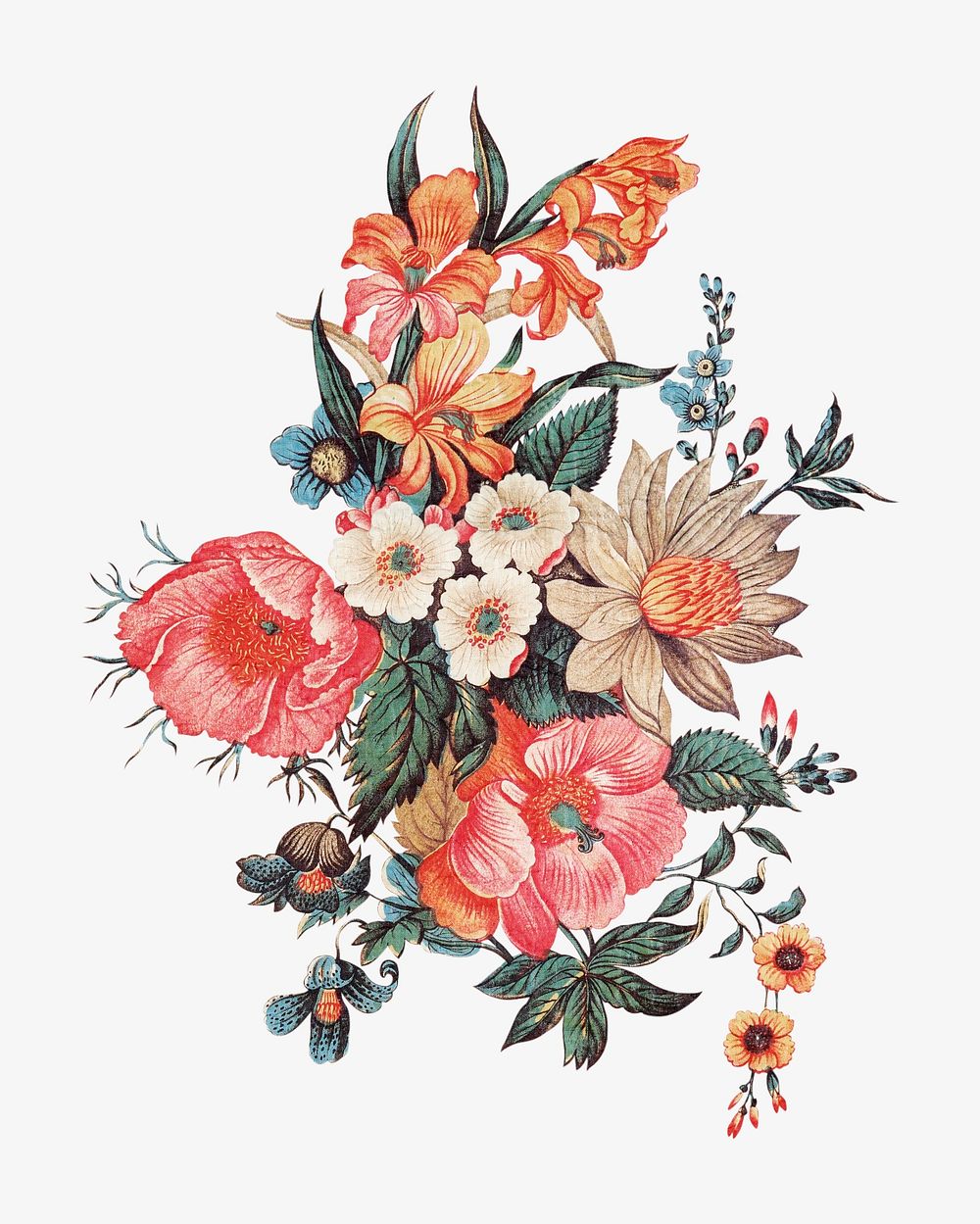 Vintage flower illustration isolated design. Remixed by rawpixel.