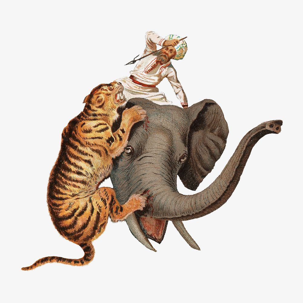Tiger hunting, vintage animal illustration by John Charlton.  Remixed by rawpixel. 