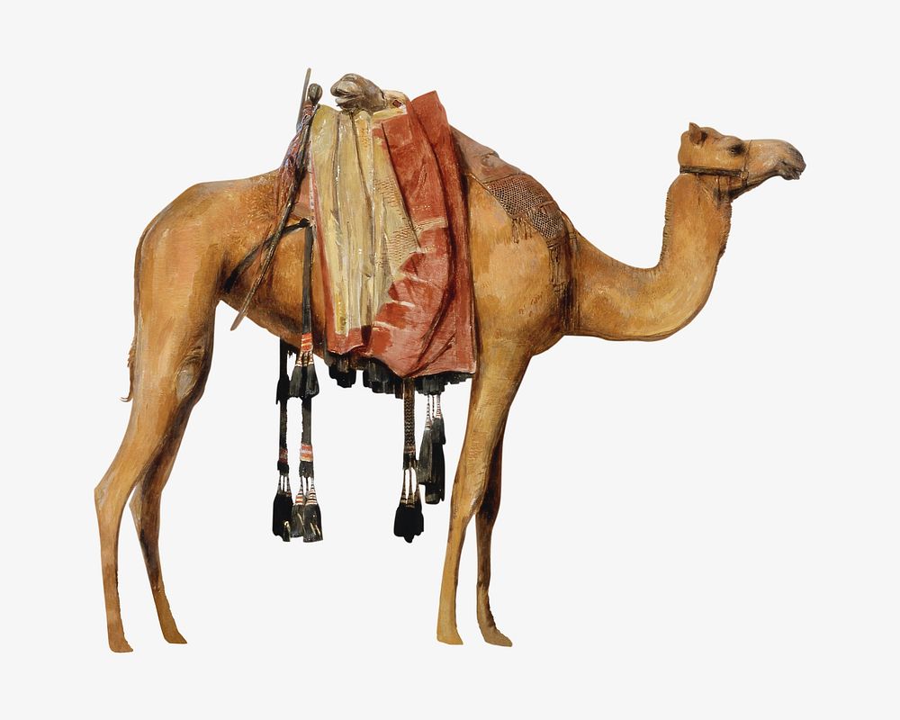 Camel, vintage animal illustration by John Frederick Lewis.  Remixed by rawpixel. 