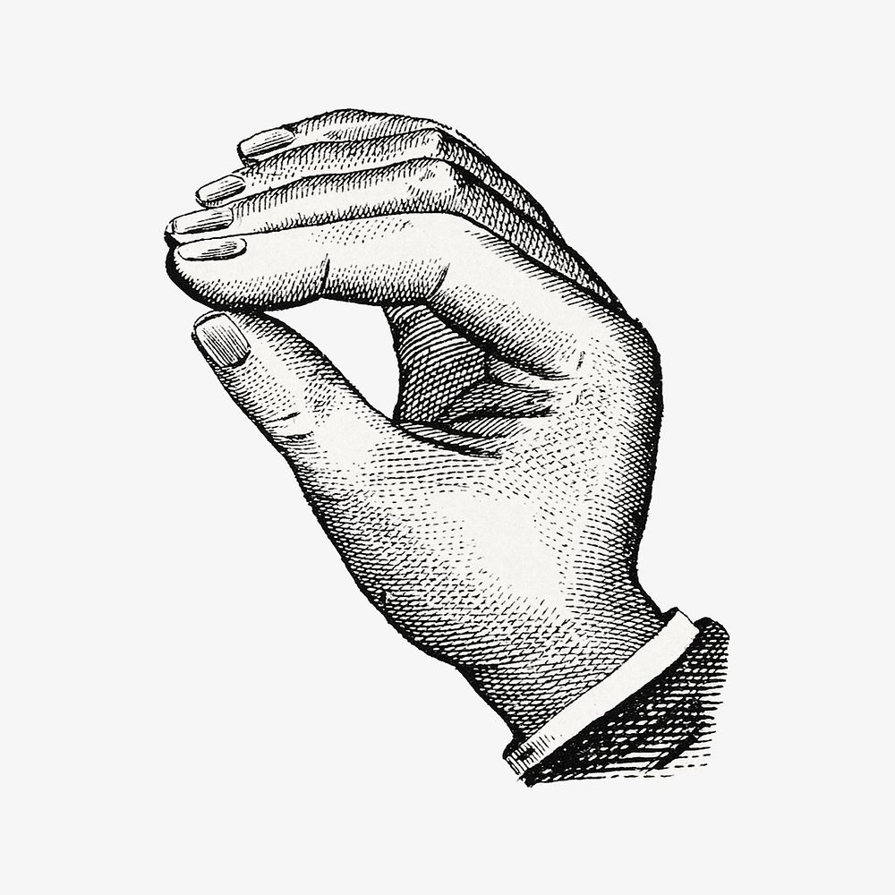 Vintage hand, gesture illustration  by Eagle Pencil Co.  Remixed by rawpixel. 