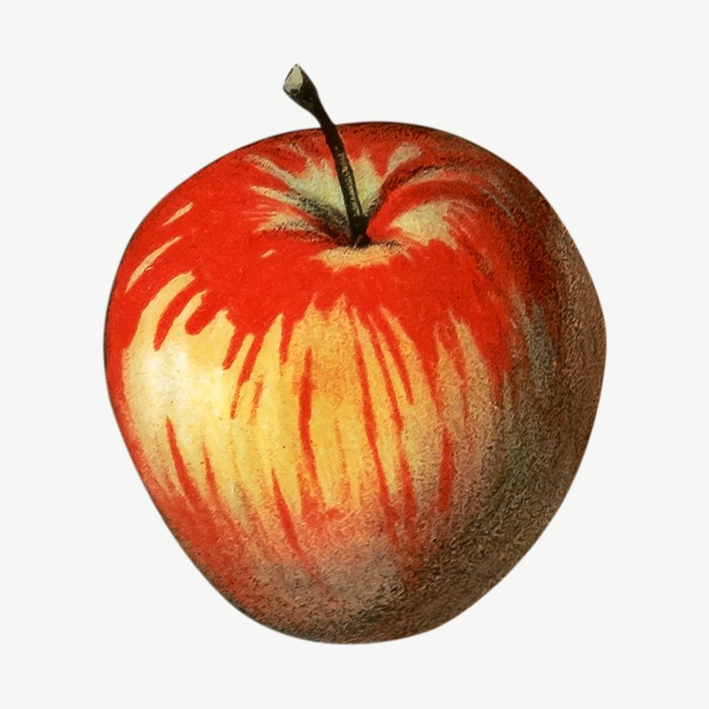 Apple, vintage vegetable illustration psd.  Remixed by rawpixel. 